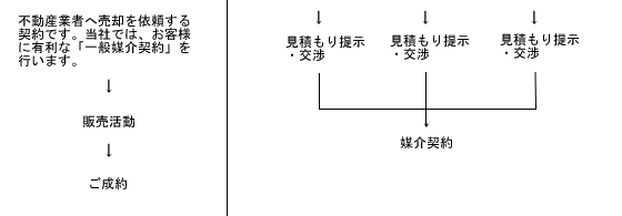 �Ǘ����甄�����̗���